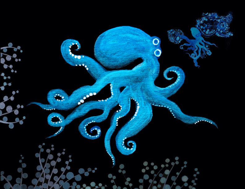 Octopi 8